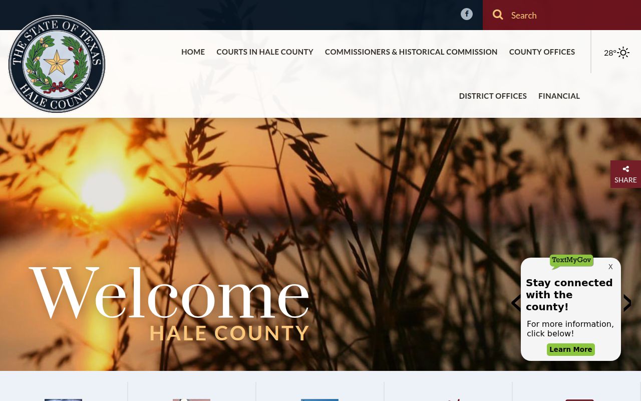 Hale County Probate Court records portal for genealogy research